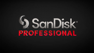Introducing SanDisk Professional!